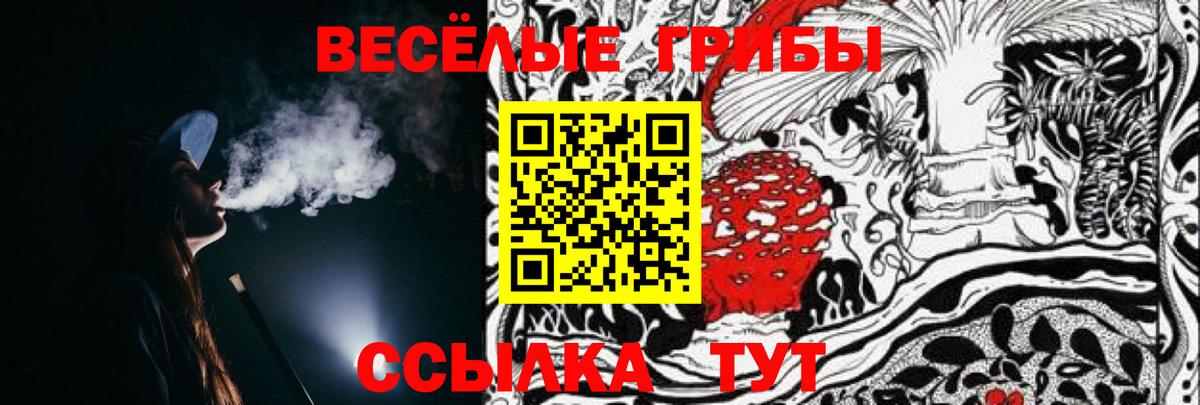 Псилоцибиновые грибы MAGIC MUSHROOMS Великий Новгород